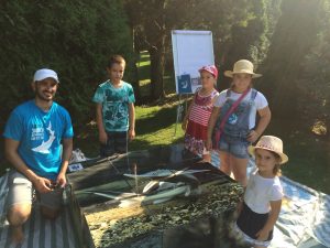 IMG 0768 300x225 - IMG_0768